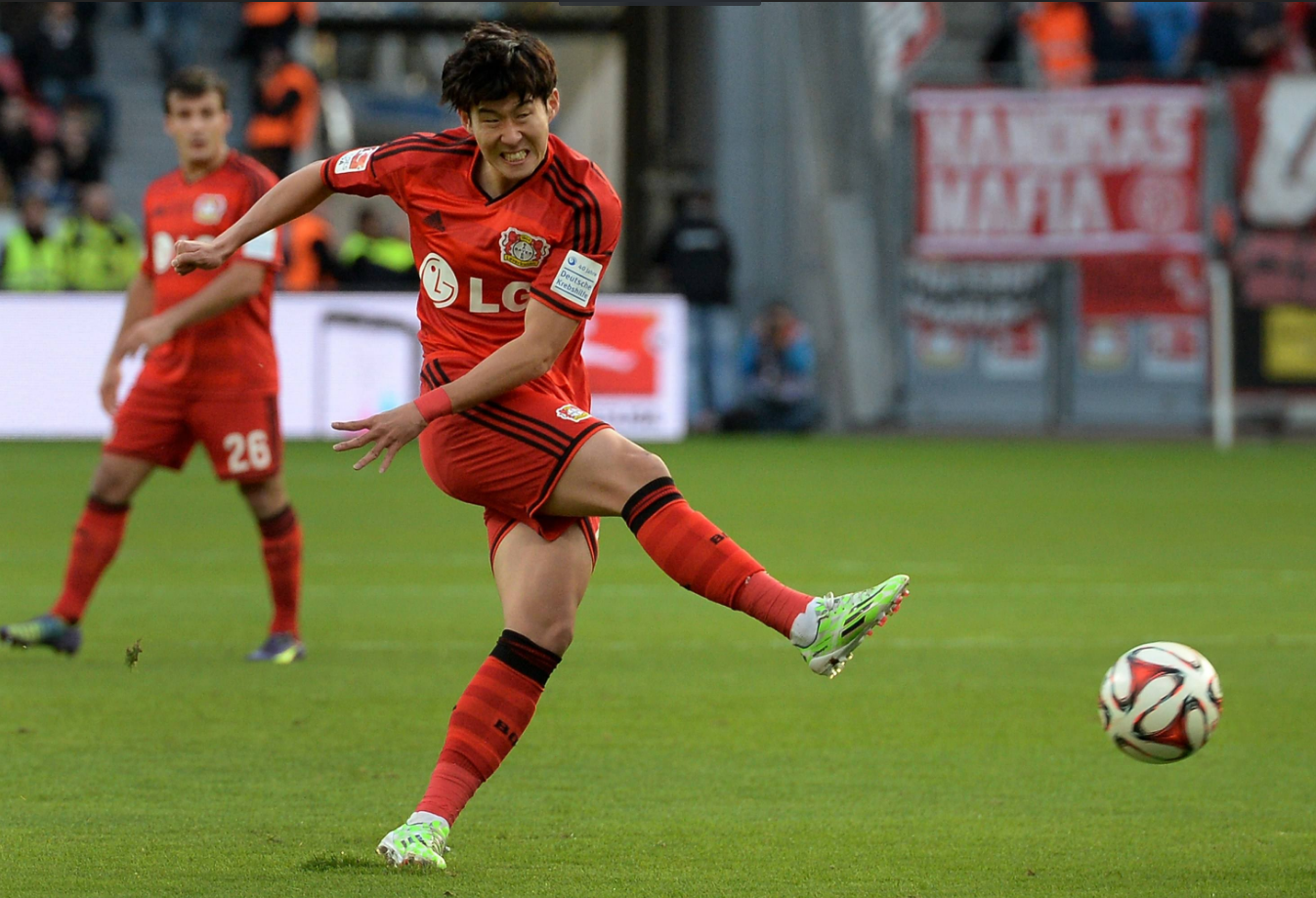 开云-转会期辽宁本钢调整名单以备德甲；复出首秀环节打磨；质疑声仍在；数据趋势出现新变化的简单介绍